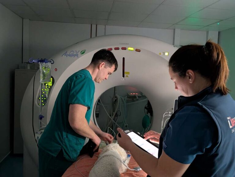 Veterinary Radiography Services | The Lighthouse Vets